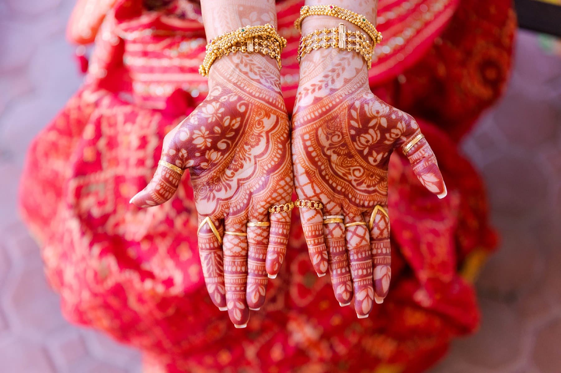 Fresh mehndi hands against the red of the wedding lehenga, Toronto