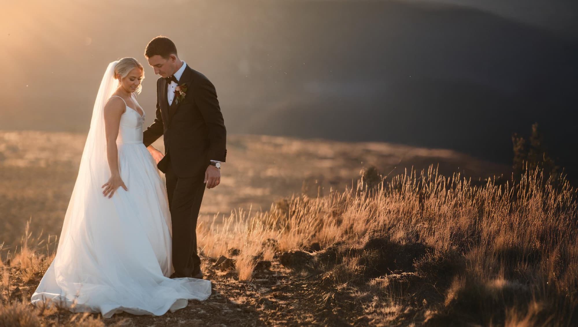 Couple in a golden field at last light, editorial wedding photography, Toronto